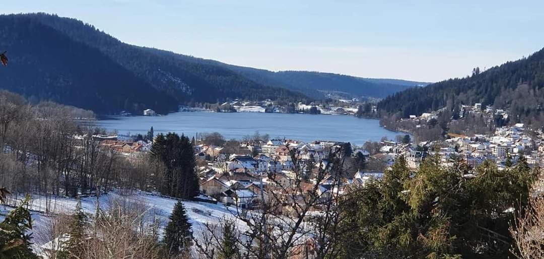 Le Petit Vosgien Apartment Gerardmer Exterior photo